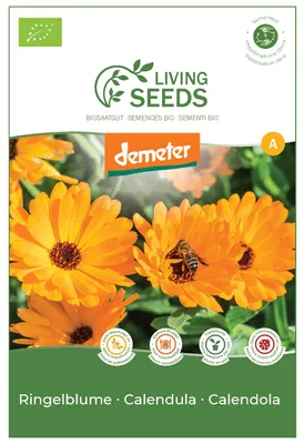 Produktbild von Ringelblume 6.1g Saatgut von Living Seeds