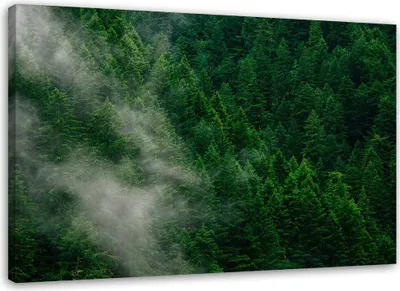 Produktbild von Leinwandbild nebel über einem wald 100x70 cm Feeby grün wandbild bereit zum aufhängen