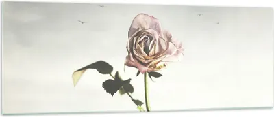 Produktbild von Bilder auf glas - Einteilig - Rose Vögel Himmel - 140x50cm - Glasbilder - Wandbilder - Bilder - zum Aufhängen bereit - Wanddekoration aus Glas - Glas Bilder - Wandbild auf Glas - GAB140x50-4509
