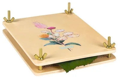 Immagine prodotto di moses. Blatt & Blüte - Pressa per fiori, pressa per foglie e fiori, ideale per appassionati del fai-da-te e per chi ama i fiori secchi. Pressa per piante in legno, utilizzata per conservare fiori e foglie. Misura: [specificare la misura, se disponibile]