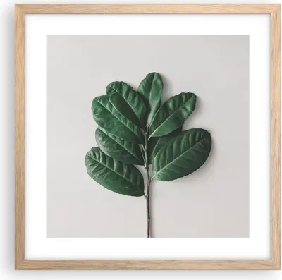 Produktbild von Gerahmtes Poster - Rahmen in heller Eiche - Blätter Pflanzen Botanik - 40x40 cm - Wand Bild - Wanddeko - Wandbilder - Kunstposter - Wandposter - Bilderrahmen - Bilder - Kunstdruck - P2NAC40x40-4956