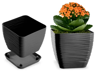 Immagine prodotto di KADAX Vaso da fiori quadrato 12 cm Coperchio in plastica Antracite