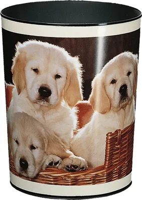 Immagine prodotto di Runner 26551 Cestino per carta straccia - 13 L, cani