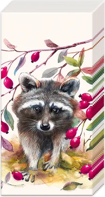 Produktbild von Papiertaschentücher "Waschbär"