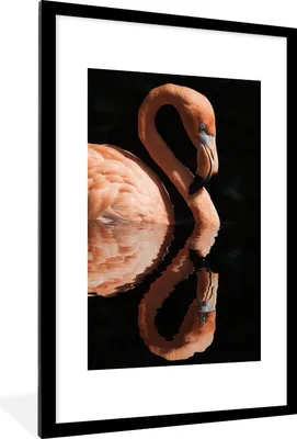 Produktbild von MuchoWow® MuchoWow® Gerahmtes Poster Flamingo - Wasser - Rosa 60x90 cm - Poster mit zchwarzem Bilderrahmen - Dekoration - Wandposter Wohnzimmer - Hochwertig