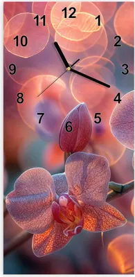 Produktbild von Wanduhr aus Glas mit Motiv Orchidee Bokeh- 30 x 60 cm - inkl. Aufhängesystem