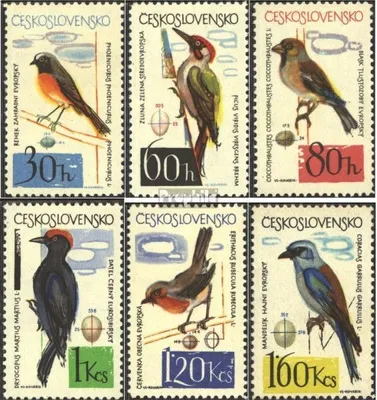 Produktbild von Briefmarken Tschechoslowakei 1964 Mi 1495-1500 (kompl.Ausg.) postfrisch Vögel