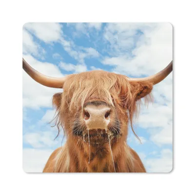 Produktbild von MuchoWow® Mauspad Mousepad Schottischer Highlander - Wolke - Tiere 20x20 cm - Mousepads - Maus Mat - Pad - Mausunterlage - Desk Mat - Bureauartikeln