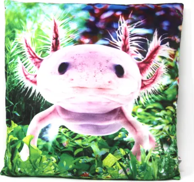 Produktbild von Stoffkissen Axolotl 35x35 cm