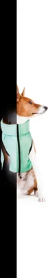 Produktbild von AiryVest LUMI, Reflektierende Hundejacke mit Tasche, Wasserdicht Hundekleidung, Hundemantel, Windichte, Koralle + Grau, S: 35x37x46 cm