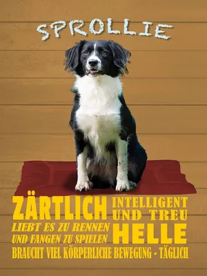 Produktbild von vianmo Holzschild 40x30 cm Sprollie Hund zärtlich und treu