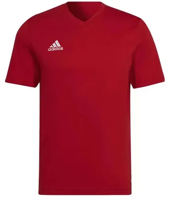 Produktbild von adidas Entrada 22 T-Shirt M TEPORE