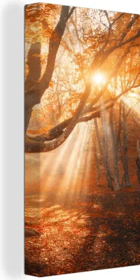 Produktbild von MuchoWow® - Leinwandbilder - Baum - Natur - Herbst, Wandbild, Wanddeko Bilder Wohnzimmer, 20x40 cm