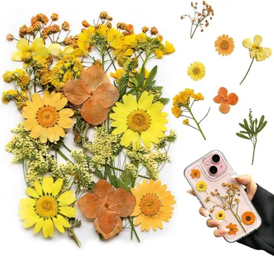 Productafbeelding van Set van 18 gedroogde, platgedrukte bloemen, geel en oranje, voor doe-het-zelf knutselprojecten