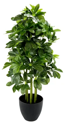 Produktbild von Künstliche Schefflera im Topf 83cm