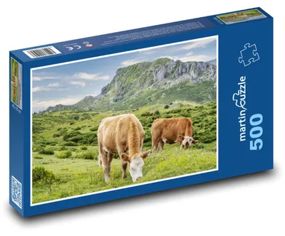 Obrázok produktu pre Puzzle 500 Pasúce sa kravy - dobytok, lúka - martinpuzzle