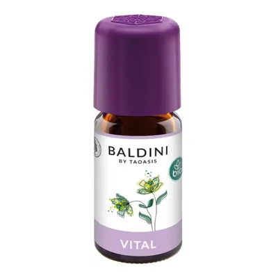 Zdjęcie produktu dla Aroma Vital 10 ml, olejek zapachowy