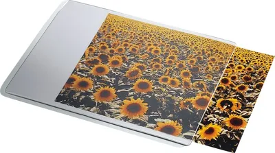 Produktbild von Mousepad Personal mit Einstecktasche Packung mit 10 Stück