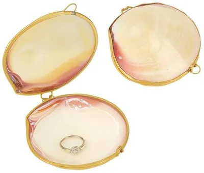 Produktbild von Goldschmuck-Organiser in Muschelform - mit Edelgoldrand - kleiner Schmuckkasten - Ring- und Ohrringhalter - 2,8 x 2,9 x 3,8 cm