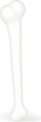 Produktbild von Widmann 2312C