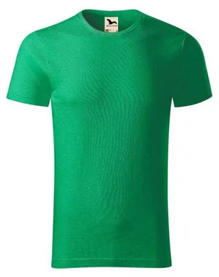 Image de Malfini - T-shirt « Native » pour homme PP11495 (3XL) (vert)