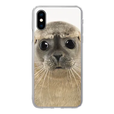 Produktbild von MuchoWow® Handyhülle Schutzhülle Hülle für iPhone X Jungen - Robbe - Kinder - Mädchen - Tiere Silikon Softcase Handy Hülle - Handyhülle