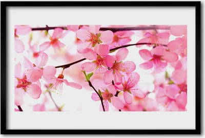 Produktbild von Bild 60x40 MDF-Rahmen Wandkunst Blumen Pflanzen