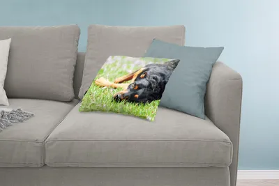 Produktbild von MuchoWow® Zierkissen Sofakissen Wohnzimmer Dekokissen 60x40 cm Ein Rottweiler liegt im Gras - Kopfkissen - Polster mit Foto