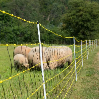 Produktbild von horizont Schafnetz horinetz high energy mit Erdungsleiter | 105 cm hoch | 50 m lang | Doppelspitze | elektrifizierbar