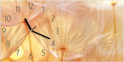 Produktbild von Wanduhr aus Glas mit Motiv Dandelion Makroaufnahme- 60 x 30 cm - inkl. Aufhängesystem