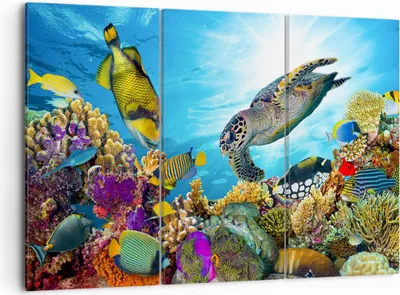 Produktbild von Bild auf Leinwand - Leinwandbild - Riff Koralle Fisch - 105x70cm - Wand Bild - Wanddeko - Leinwanddruck - Bilder - Kunstdruck - Wanddekoration - Leinwand bilder - Wandkunst - CE105x70-3704