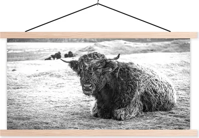 Produktbild von MuchoWow® Textilposter Schottisches Hochlandrind - Berg - Tiere 120x60 cm mit holzfarbenen Rahmen - Klemmleiste