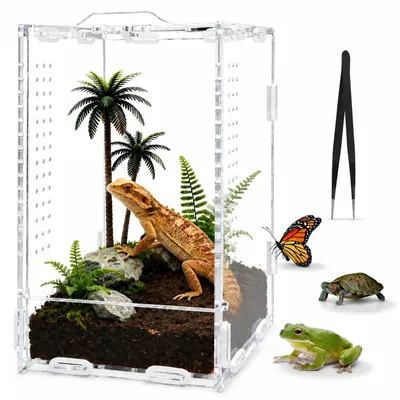 Zdjęcie produktu dla Akrylowe terrarium dla gadów z pincetą