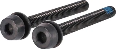 Zdjęcie produktu dla Śruby Campagnolo AC18-DBSC44 H11 (śruba talerzowa), 2x44mm dla tylnych 35-39mm, czarne