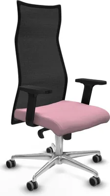 Obrázek produktu pro Kancelářská židle Piqueras y Crespo B2D086G Pink