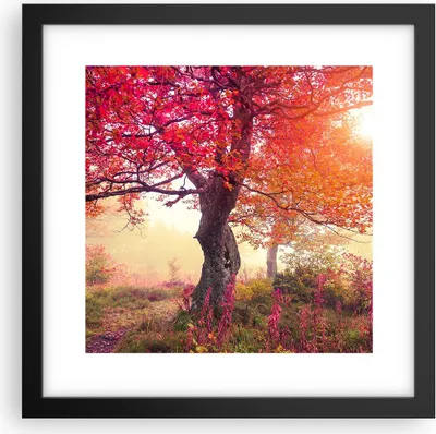 Produktbild von Gerahmtes Poster - Schwarzer Rahmen - Baum Natur Wiese - 30x30 cm - Wand Bild - Wanddeko - Wandbilder - Kunstposter - Wandposter - Bilderrahmen - Bilder - Kunstdruck - Wandbild - P2BAC30x30-3658