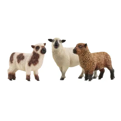 Produktbild von schleich FARM WORLD 42660, 3 Jahr(e), Farm, Farm animals / farm toys, Mehrfarbig, Kunststoff