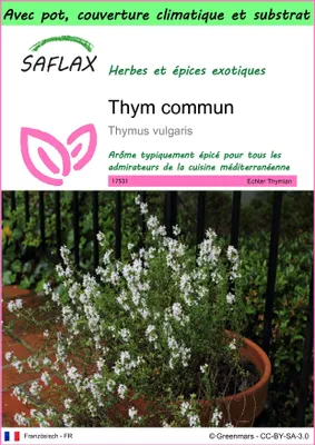Image de SAFLAX Garden to go - Thym commun - 200 graines - Thymus