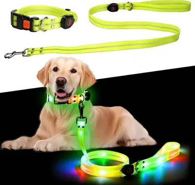 Zdjęcie produktu dla Elektryczna obroża dla psów – obroża LED ładowana przez USB, przenośna obroża dla psów z diodą LED, przeznaczona dla psów małych i średnich – obroża LED
