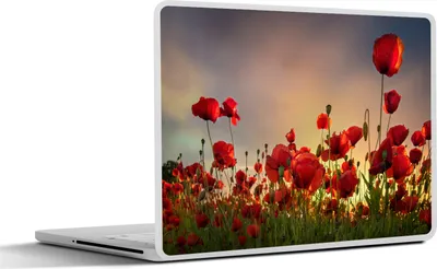Produktbild von MuchoWow® Laptop Aufkleber Sticker Cover Bunter Himmel über einem Mohnblumenfeld in Dänemark 30x22 cm - Laptop-Sticker