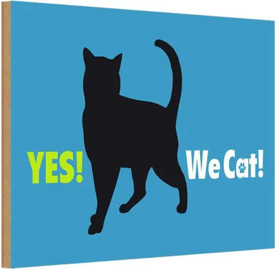 Produktbild von vianmo Holzschild 12x18 cm Yes We cat Katze blau Tier Haustier