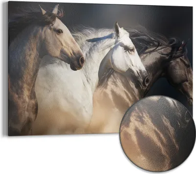 Produktbild von DEQORI Magnettafel Metall 60x40 cm 'Pferde-Trio im Galopp' Whiteboard Pinnwand Büro