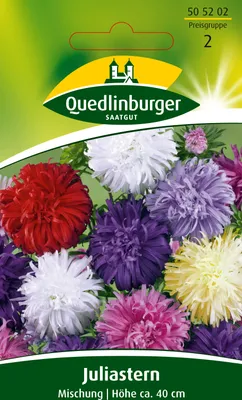 Produktbild von Quedlinburger Saatgut - Juli-Astern Mischung - Samen - 505202