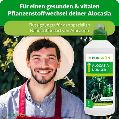 Produktbild von Purgrün Alocasia-Dünger | Flüssigdünger für Alocasien | 1L