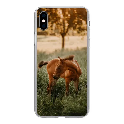 Produktbild von MuchoWow® Handyhülle Schutzhülle Hülle für iPhone Xs Pferd - Gras - Baum Silikon Softcase Handy Hülle - Handytasche