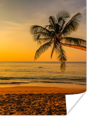 Produktbild von MuchoWow® Poster Palme - Strand - Sonnenuntergang - Meer 120x160 cm - Wandbilder
