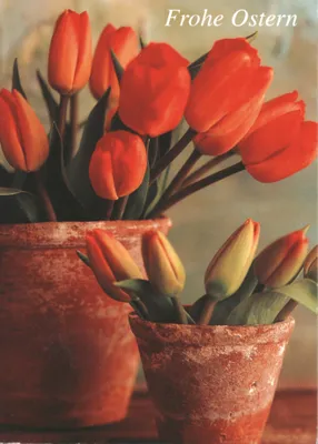 Produktbild von Ostern - Glückwunschkarte im Format 11,5 x 17 cm mit Briefumschlag