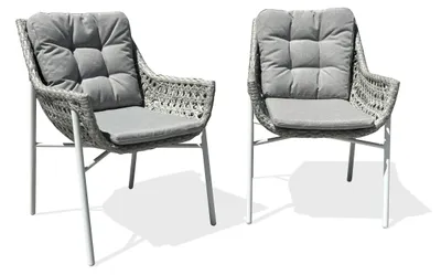 Image de Lot de 2 fauteuils de jardin