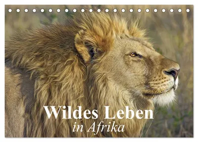 Produktbild von Wildes Leben in Afrika (Tischkalender 2027 DIN A5 quer), CALVENDO Monatskalender