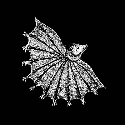 Produktbild von Ignore Grief
